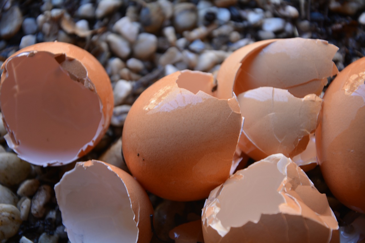 Kahvaltıların Vazgeçilmezi Yumurta Kabuğunun Faydalar
