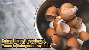 Kahvaltıların Vazgeçilmezi Yumurta Kabuğunun Faydaları