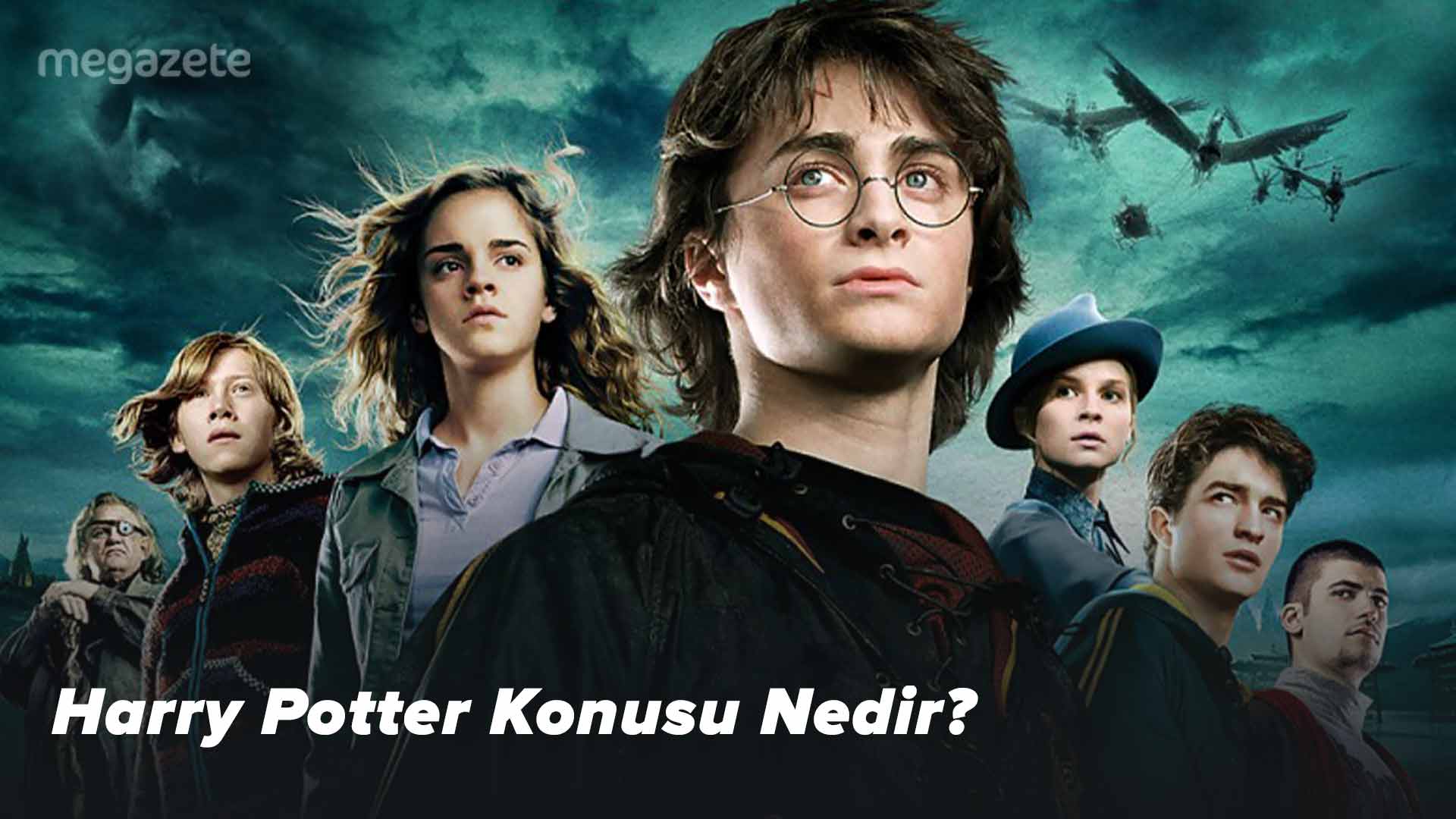 Harry Potter Konusu Nedir?