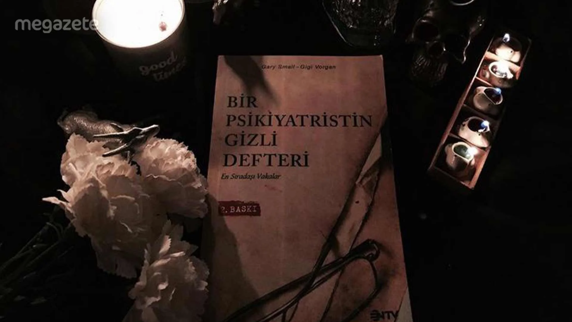 Bir Psikiyatristin Gizli Defteri – Gary Small, Gigi Vorgan