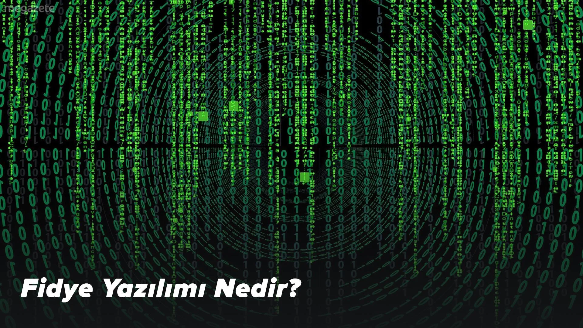 Fidye Yazılımı Nedir?