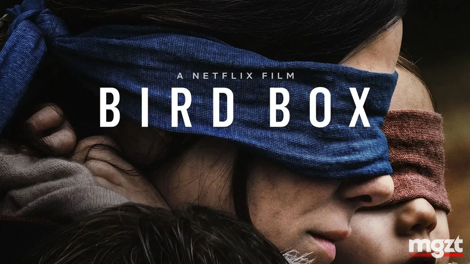 Bird Box